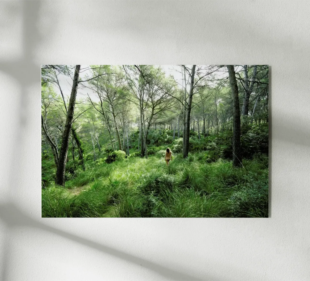 Consonance II plexiglass da Matevž Kosterov