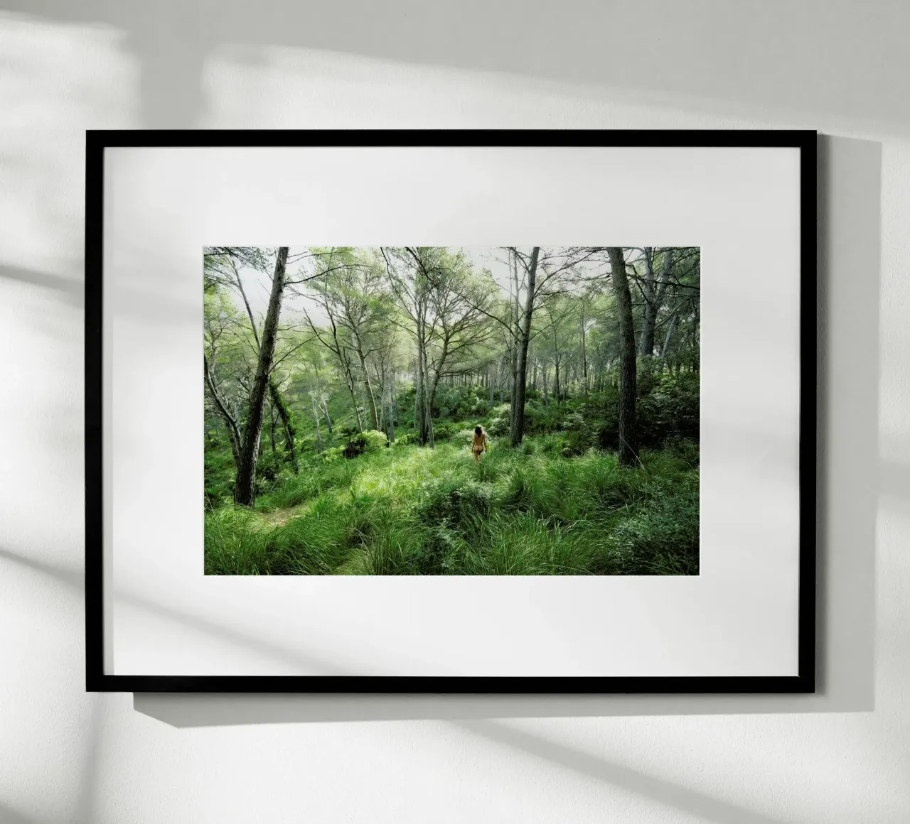 Consonance II poster da Matevž Kosterov