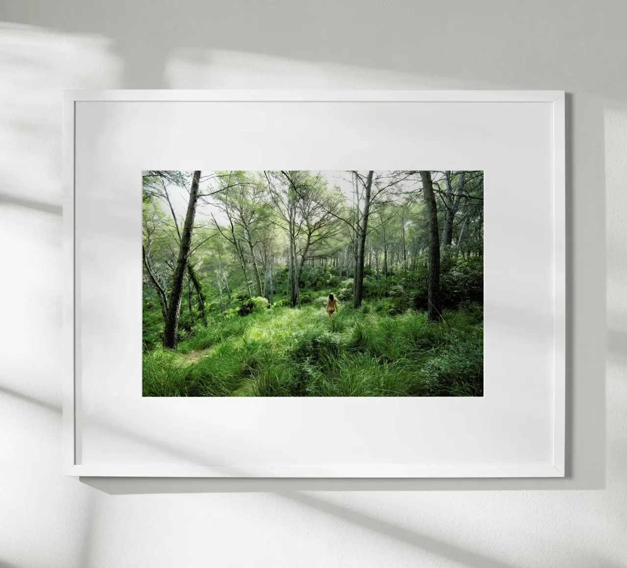 Consonance II poster da Matevž Kosterov