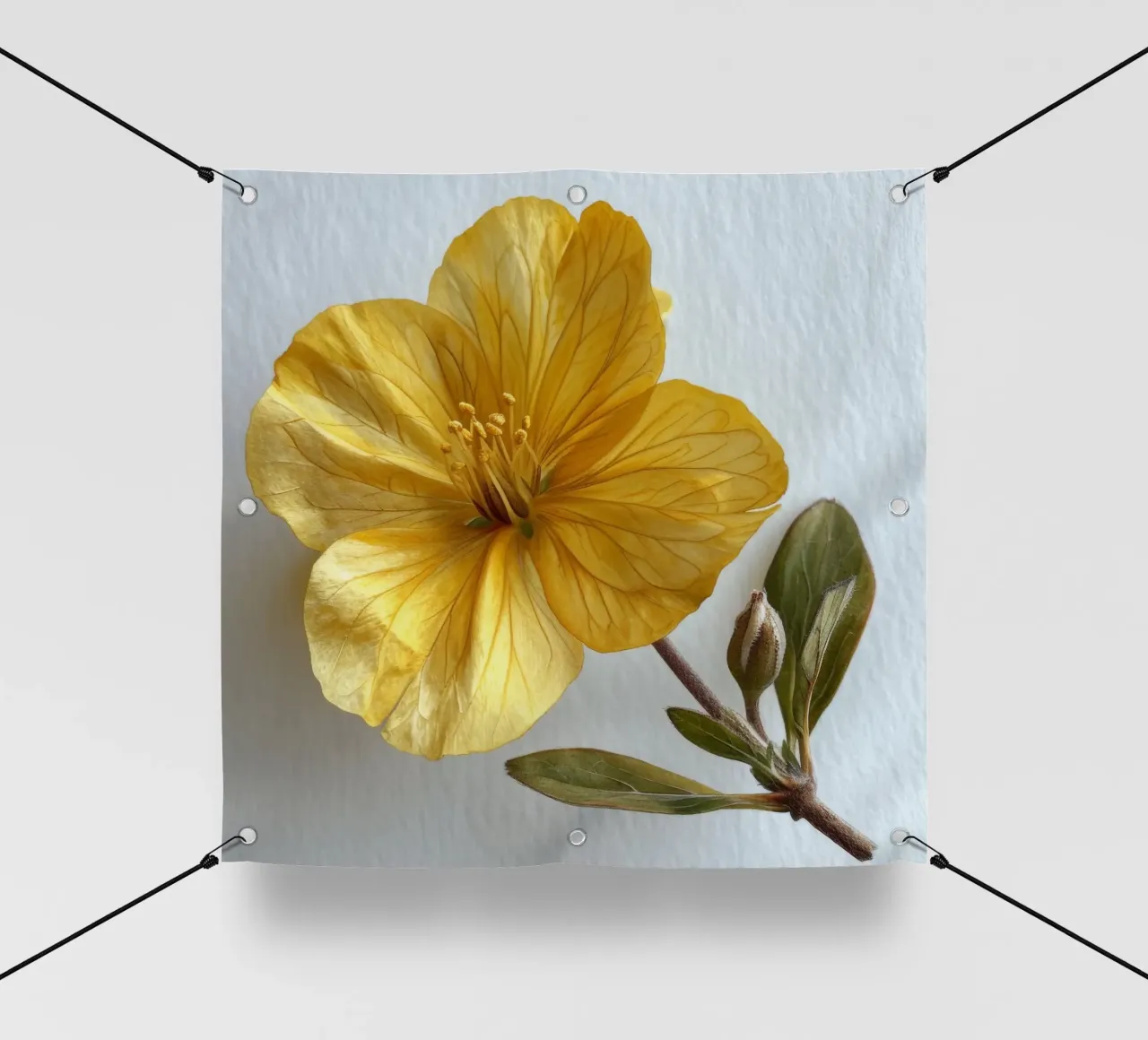 Fiore di Enotera 4 telo in pvc da Bold Blooms