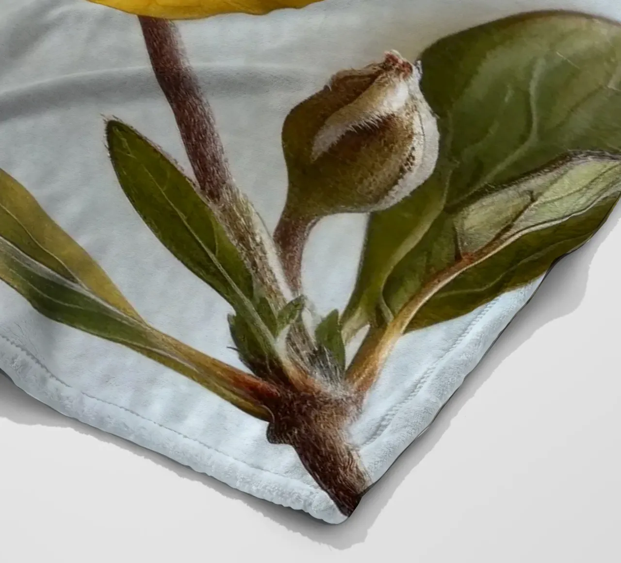 Fiore di Enotera 4 coperta in pile da Bold Blooms