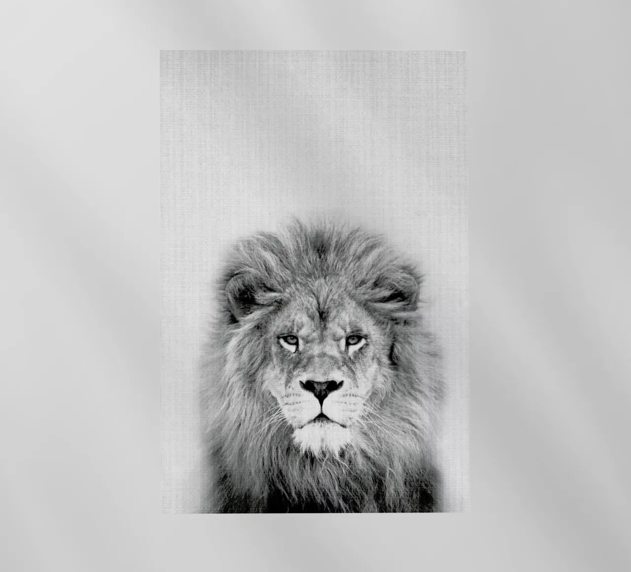 Lion pellicola backlit da Lila x Lola