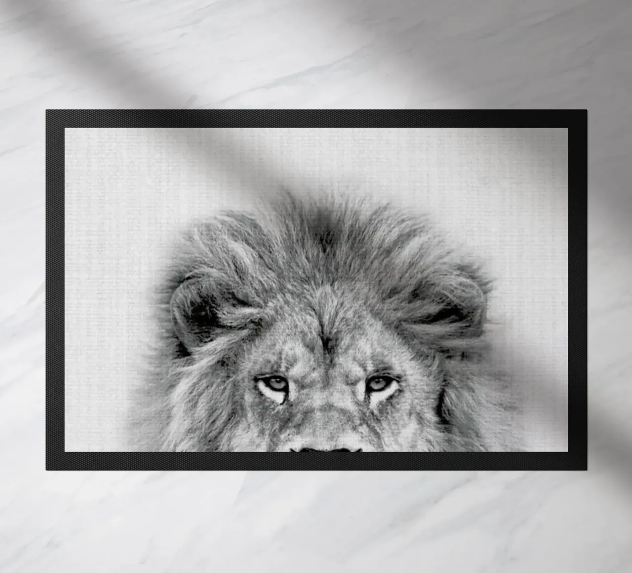 Lion zerbino da Lila x Lola