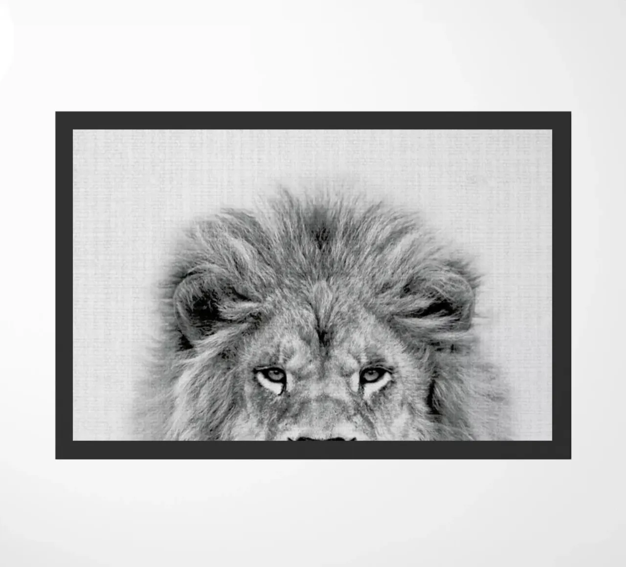 Lion zerbino da Lila x Lola