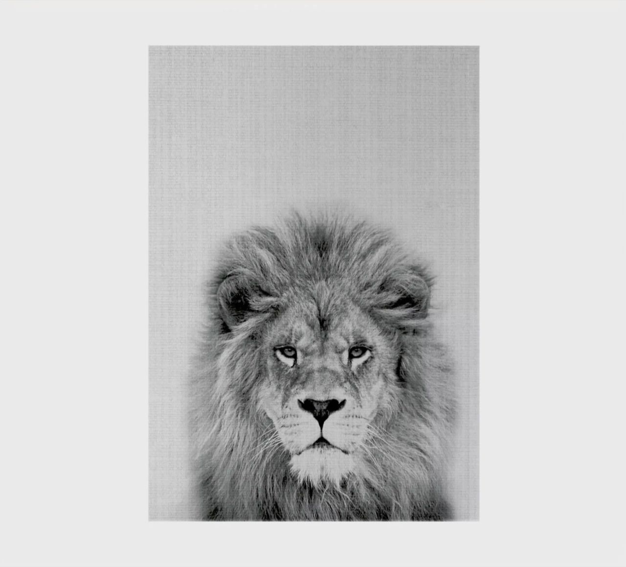 Lion notebook by Lila x Lola