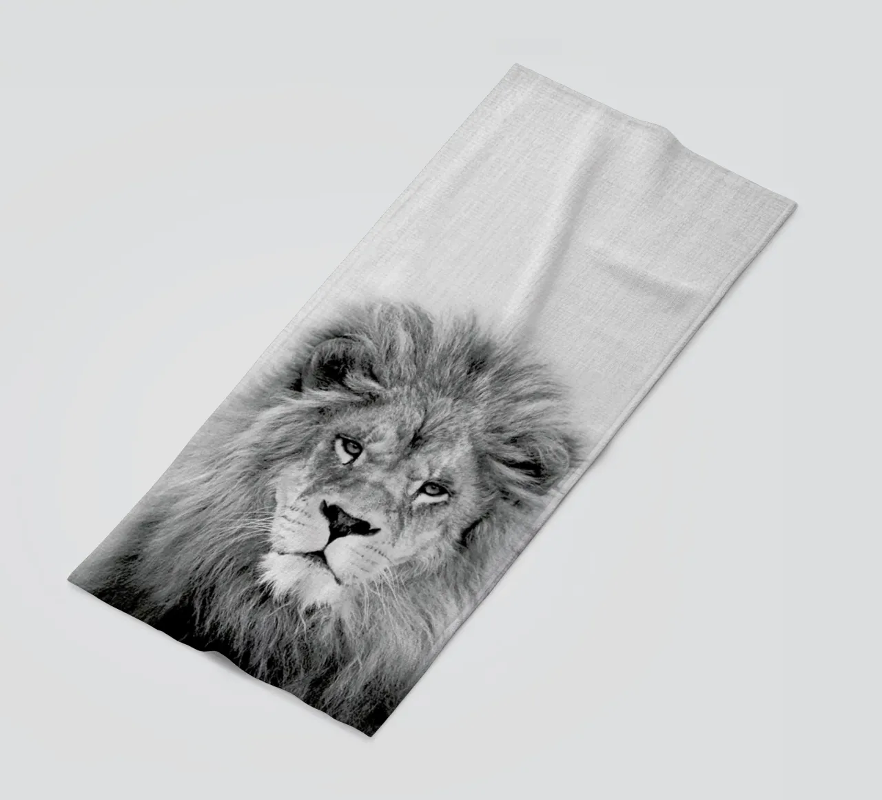 Lion telo mare da Lila x Lola