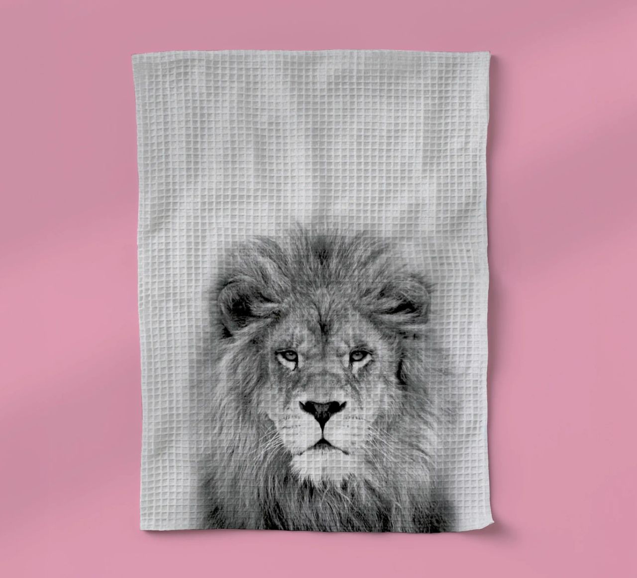 Lion torchon de Lila x Lola