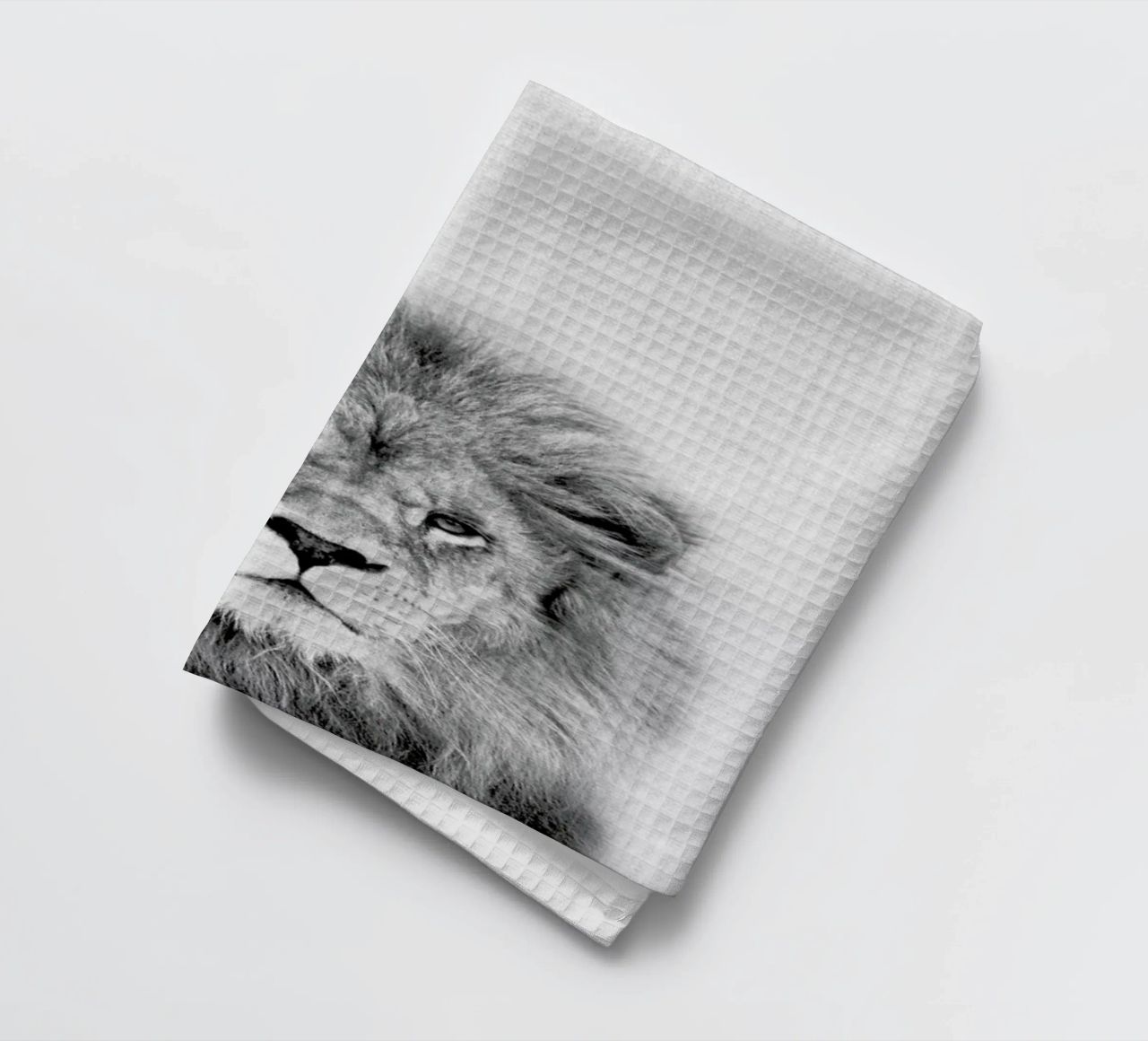 Lion torchon de Lila x Lola