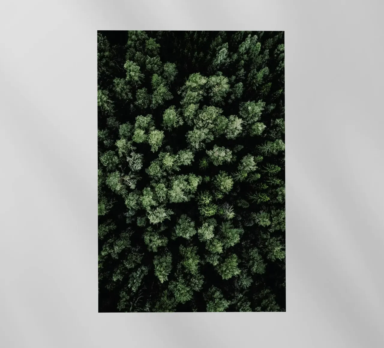 Jungle Rum pellicola backlit da Airpixels