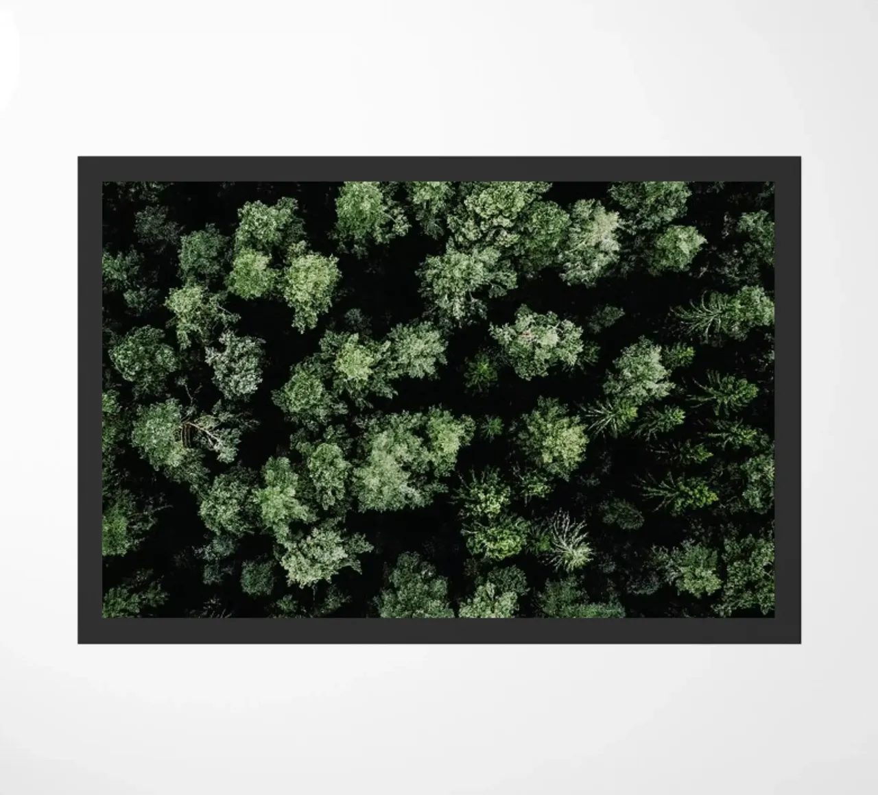 Jungle Rum zerbino da Airpixels