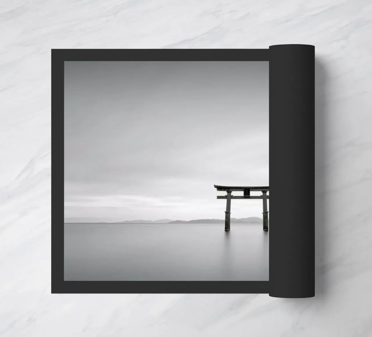 Torii Study 2 zerbino da Michael J. Reibert