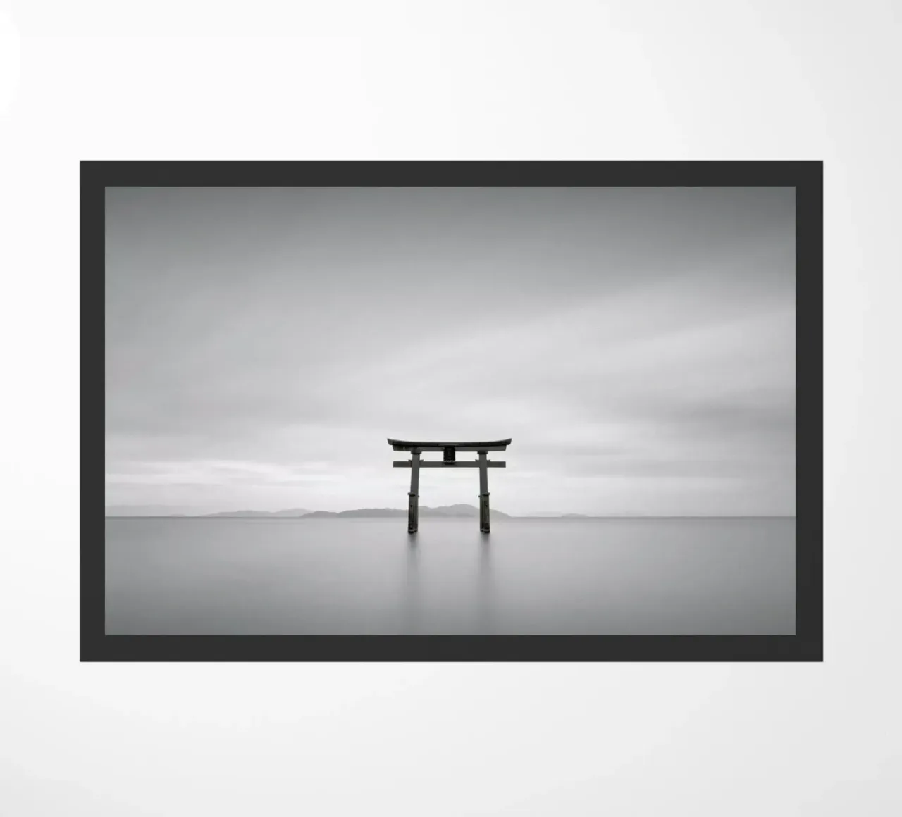 Torii Study 2 zerbino da Michael J. Reibert