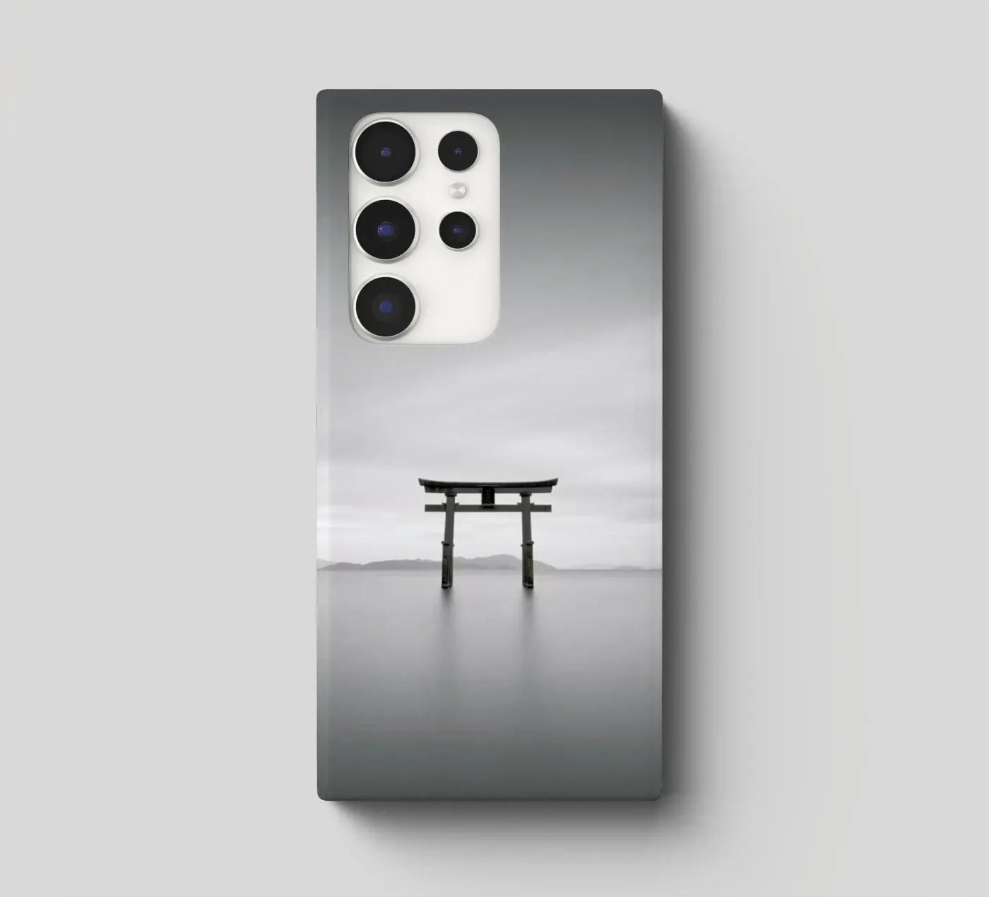 Torii Study 2 cover samsung da Michael J. Reibert