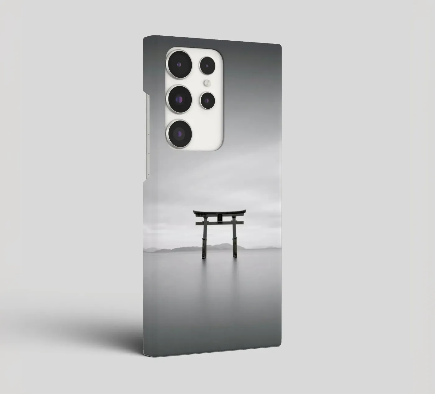 Torii Study 2 cover samsung da Michael J. Reibert