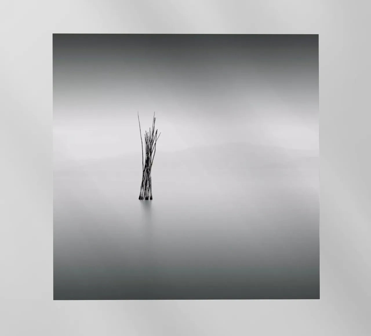 Uno pellicola backlit da Michael J. Reibert