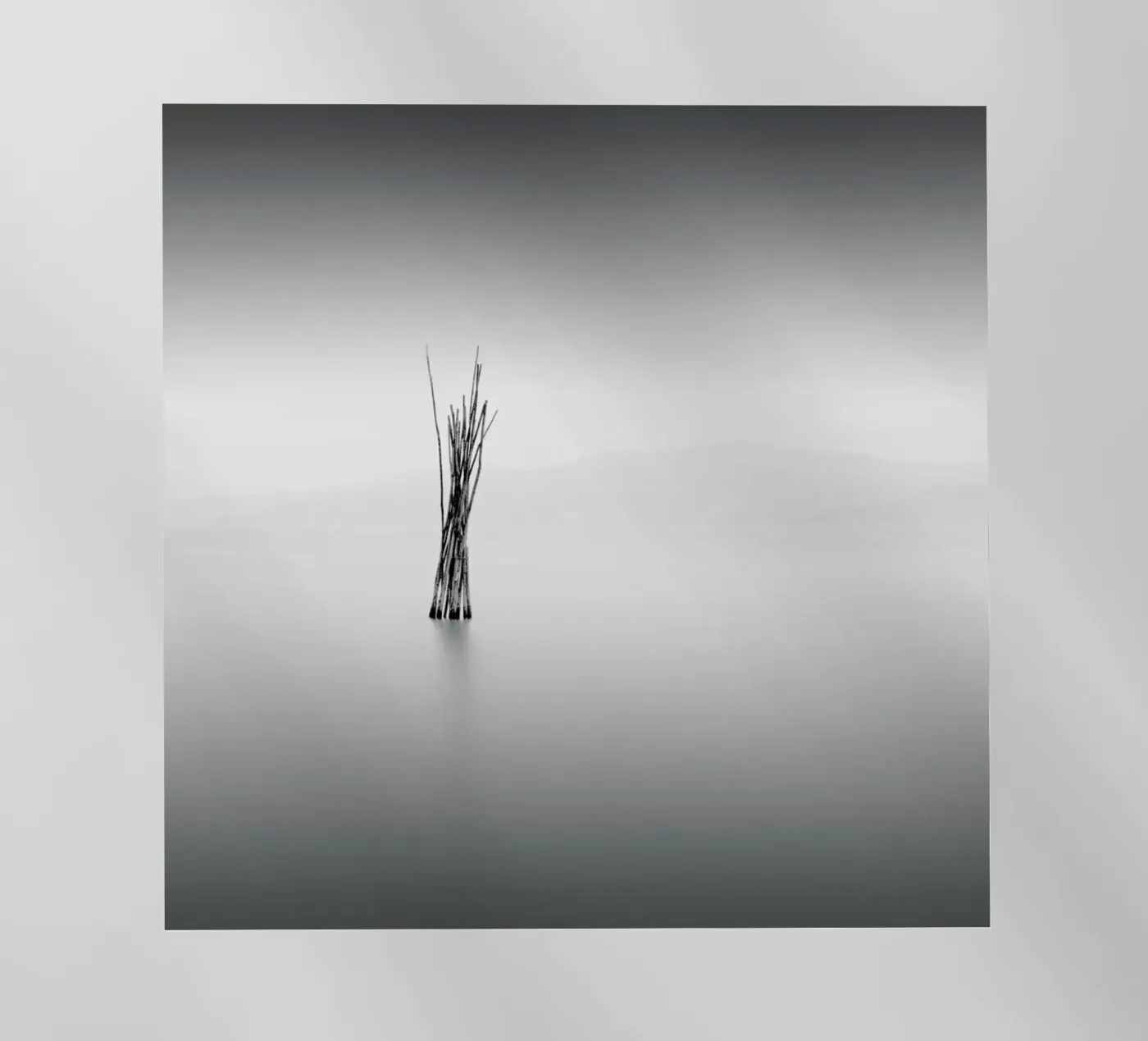 Uno pellicola backlit da Michael J. Reibert