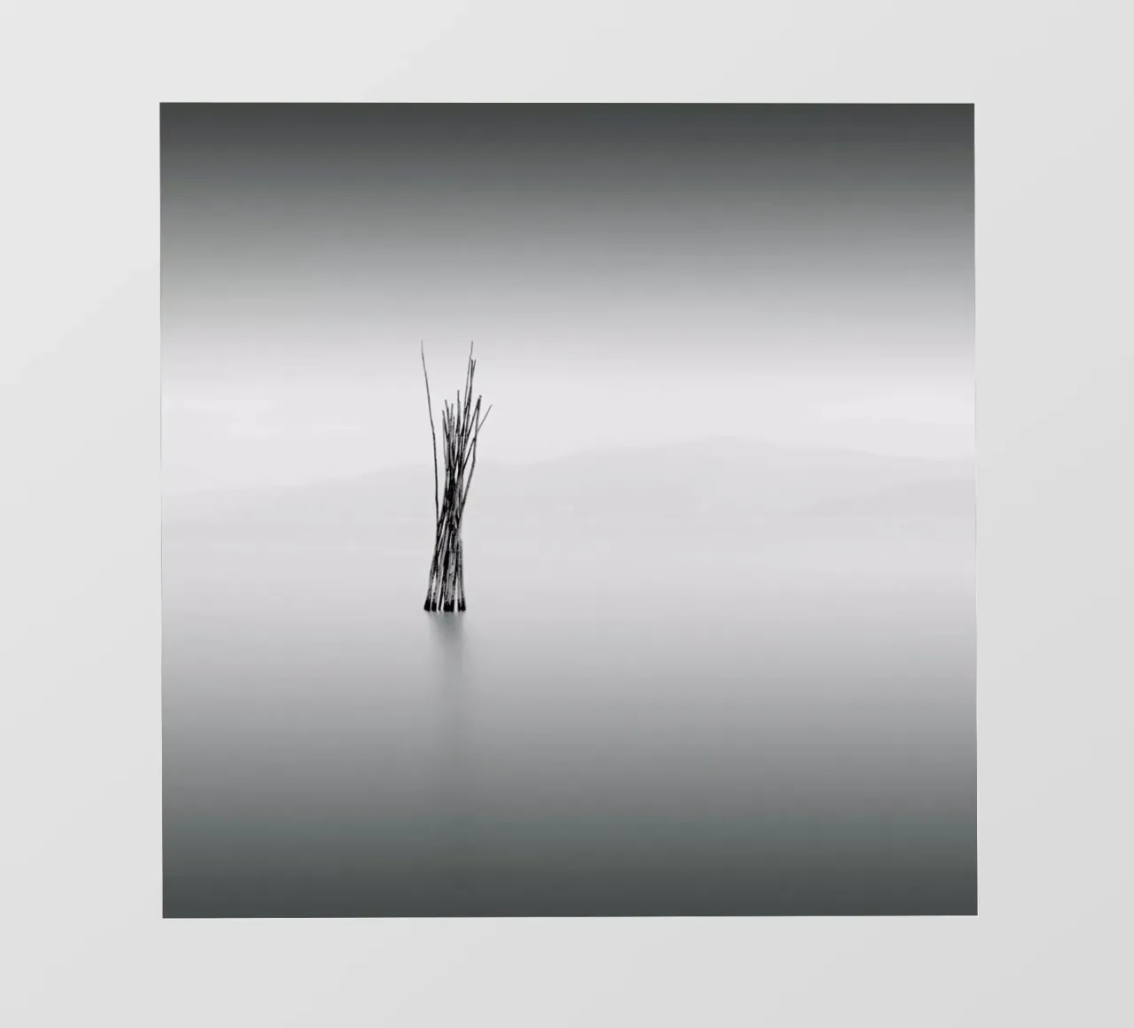 Uno pellicola backlit da Michael J. Reibert