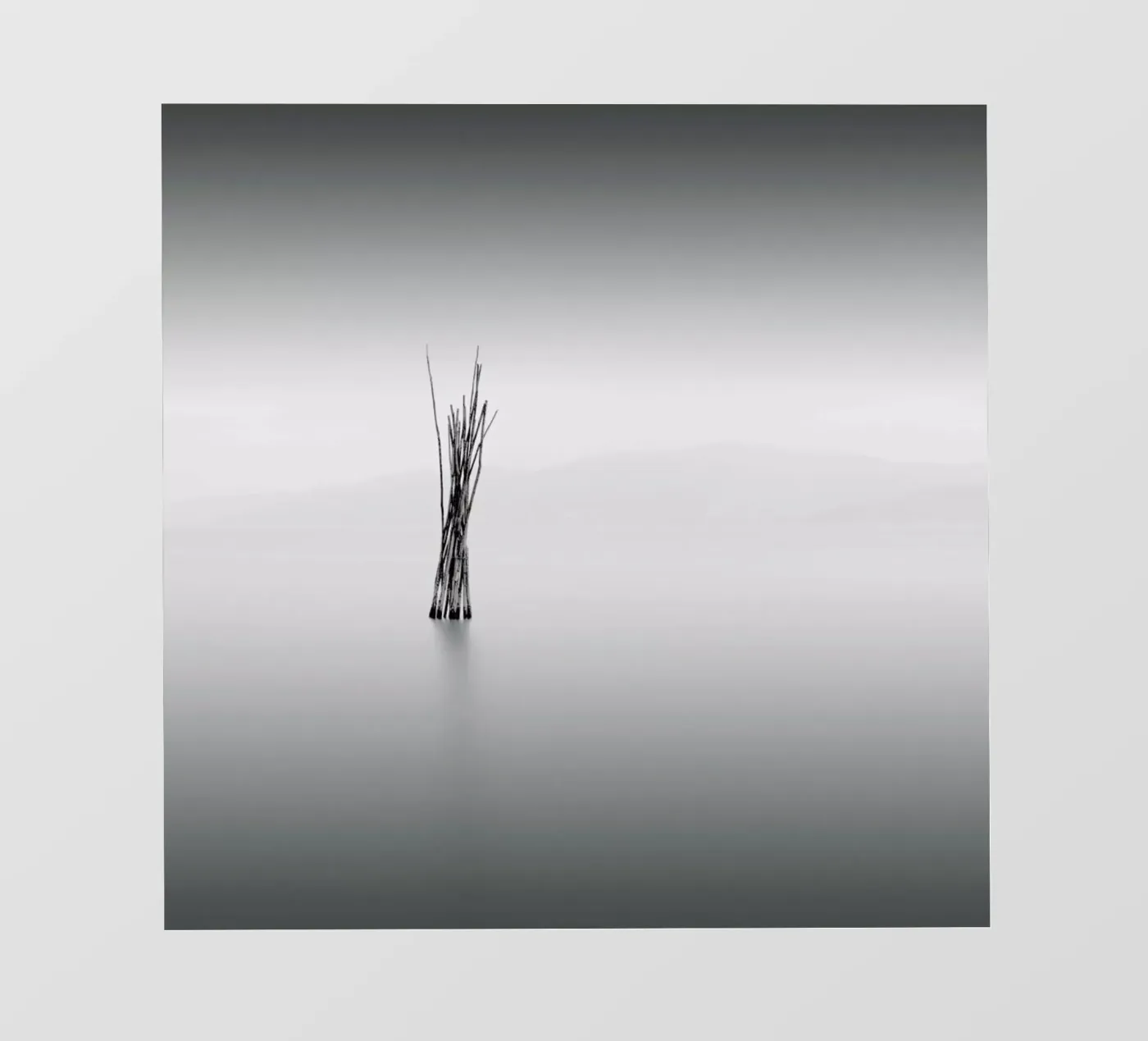 Uno pellicola backlit da Michael J. Reibert