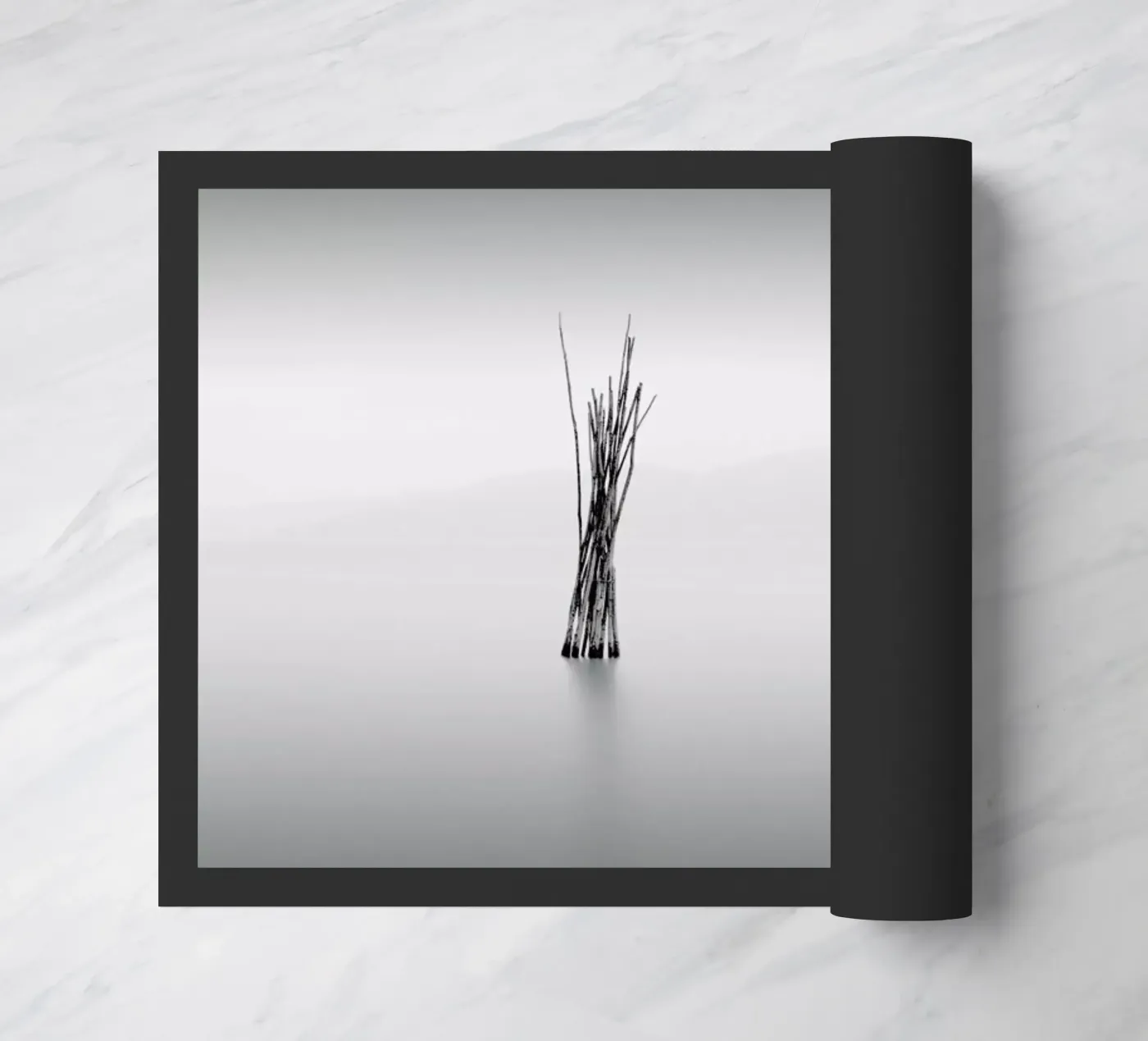 Uno paillasson de Michael J. Reibert