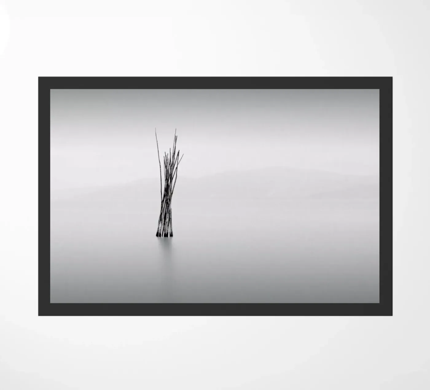 Uno paillasson de Michael J. Reibert