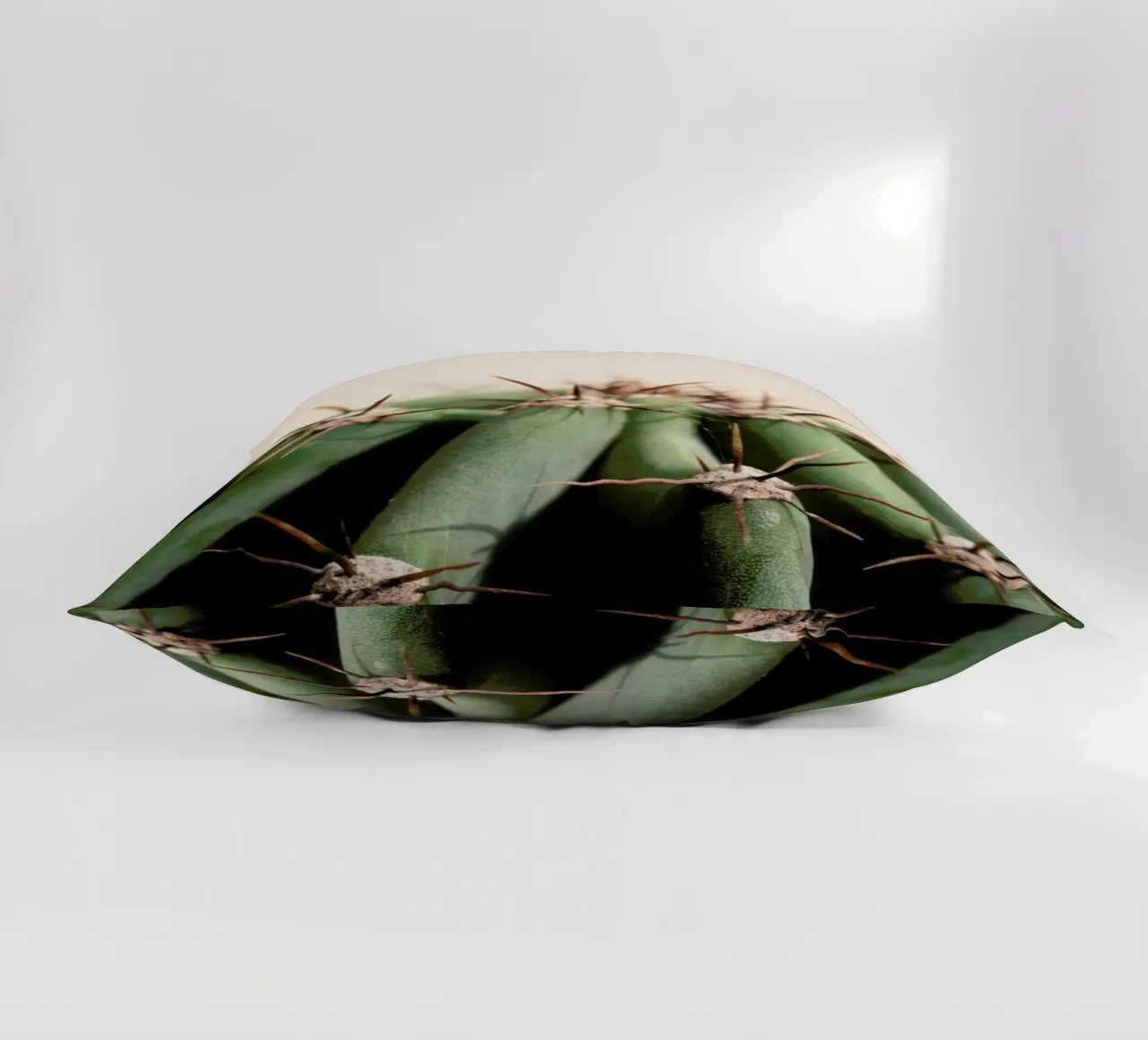 Cactus 02 cuscino da Marc Schulthess