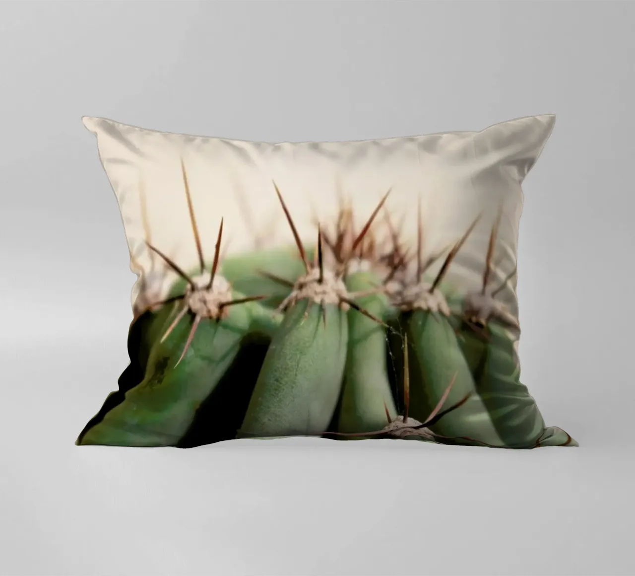 Cactus 02 cuscino da Marc Schulthess