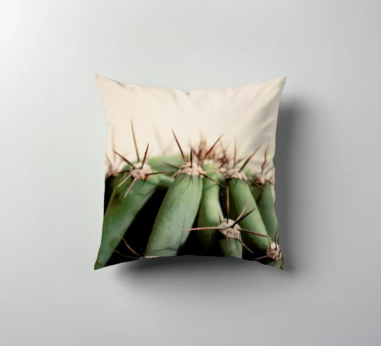 Cactus 02 cuscino da Marc Schulthess