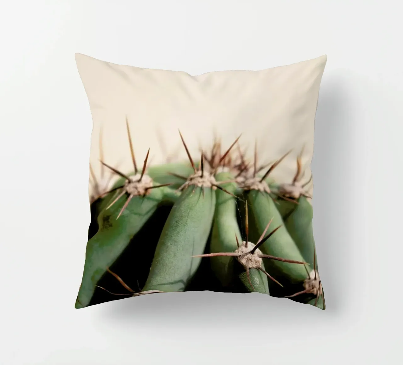 Cactus 02 cuscino da Marc Schulthess