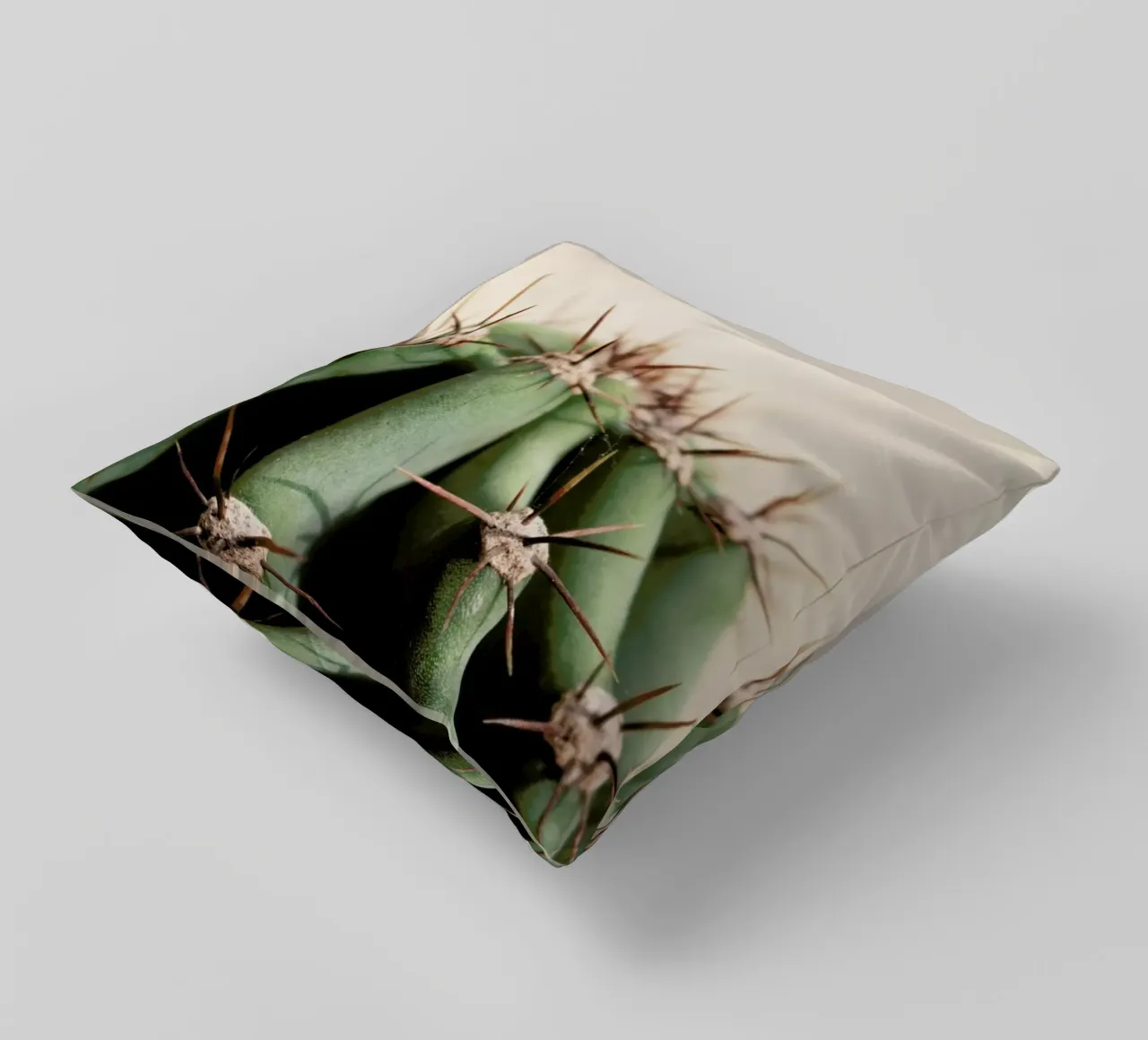 Cactus 02 cuscino da Marc Schulthess