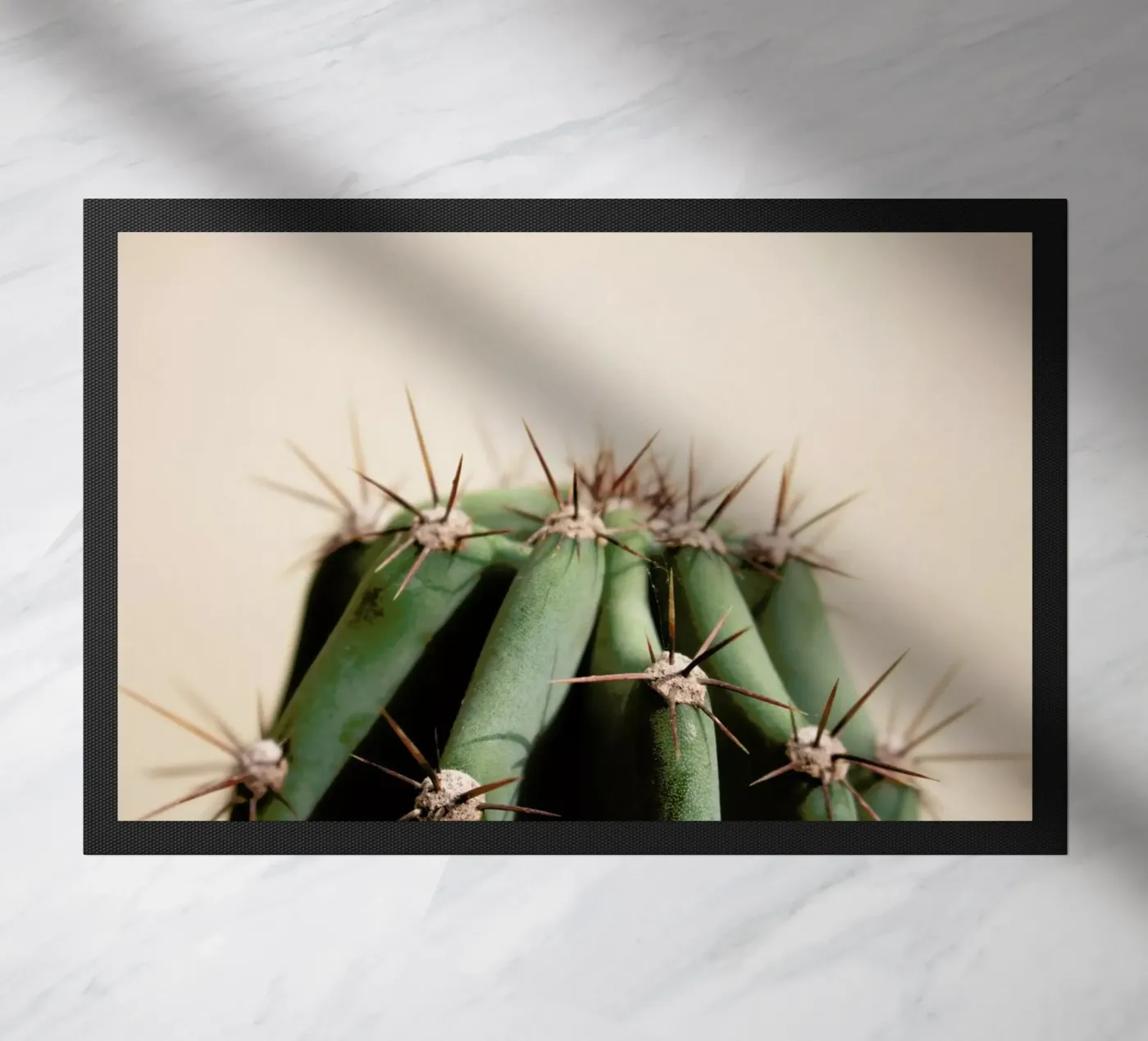 Cactus 02 zerbino da Marc Schulthess