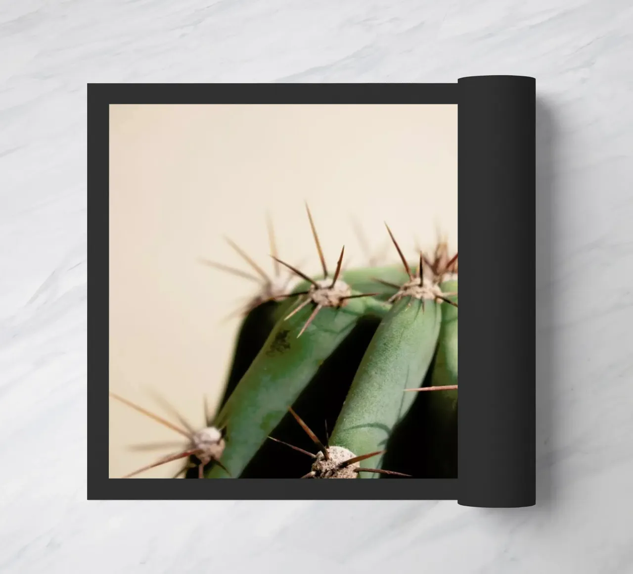 Cactus 02 zerbino da Marc Schulthess