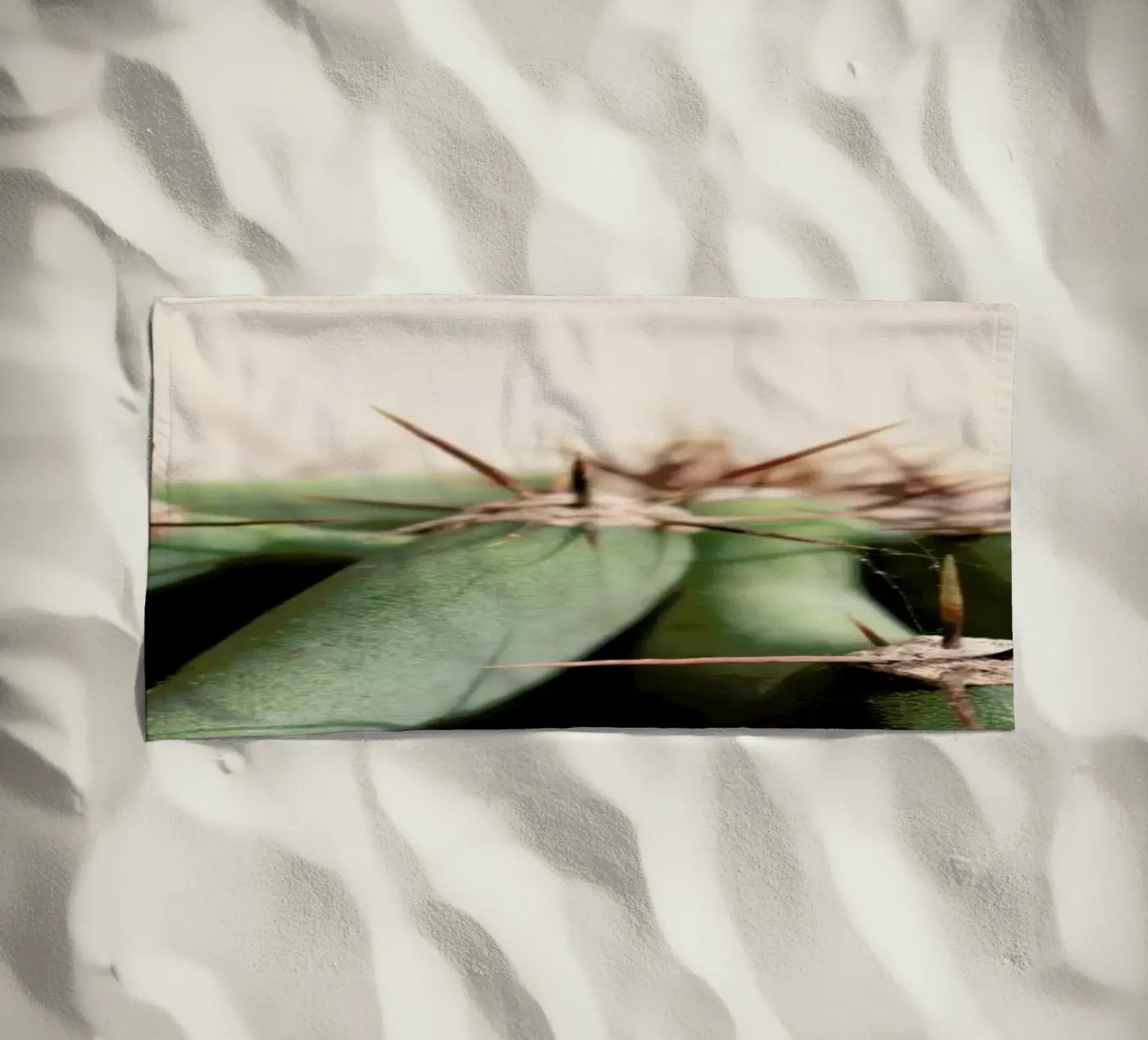 Cactus 02 telo mare da Marc Schulthess