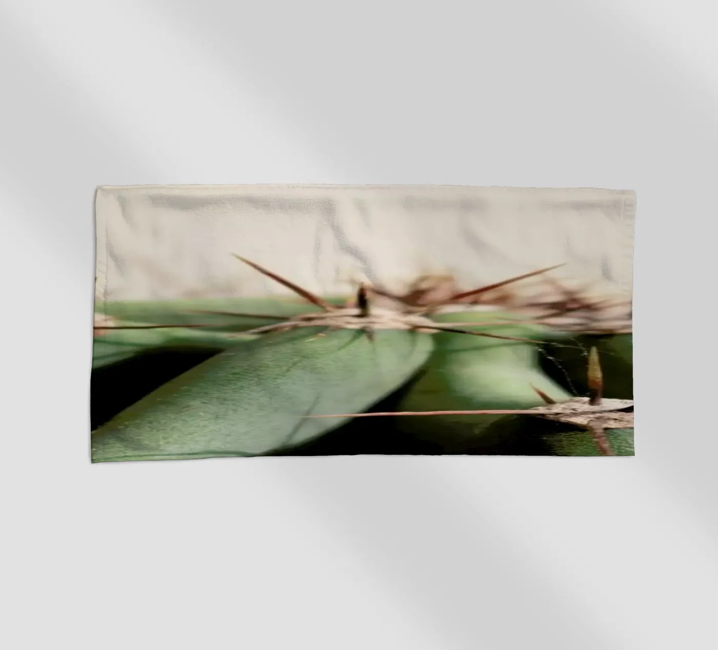 Cactus 02 telo mare da Marc Schulthess