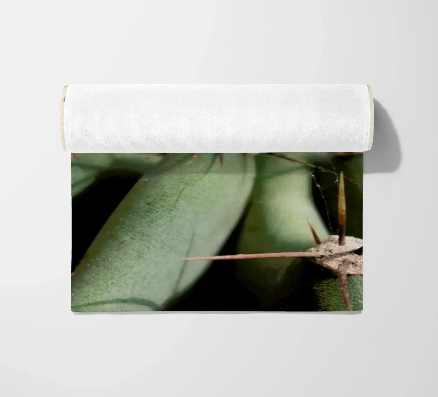 Cactus 02 telo mare da Marc Schulthess