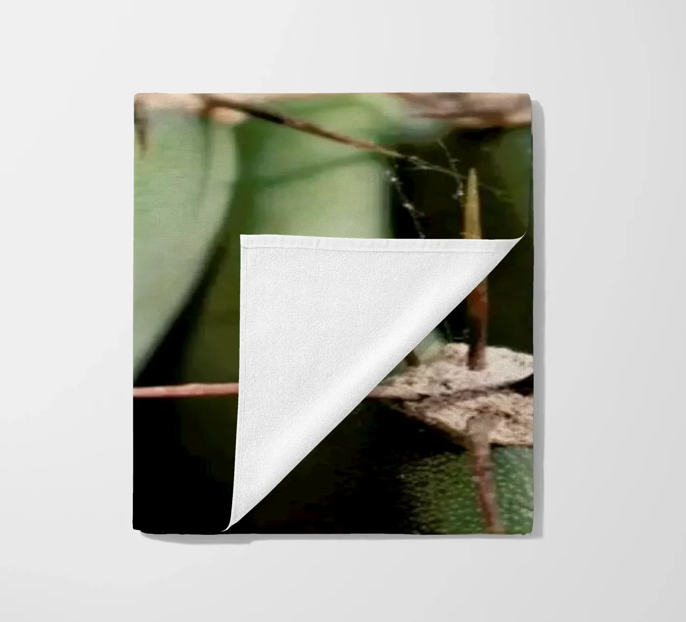 Cactus 02 telo mare da Marc Schulthess