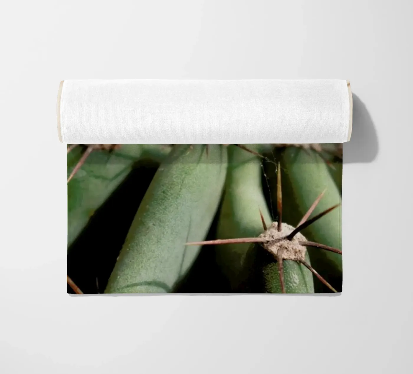 Cactus 02 telo mare da Marc Schulthess