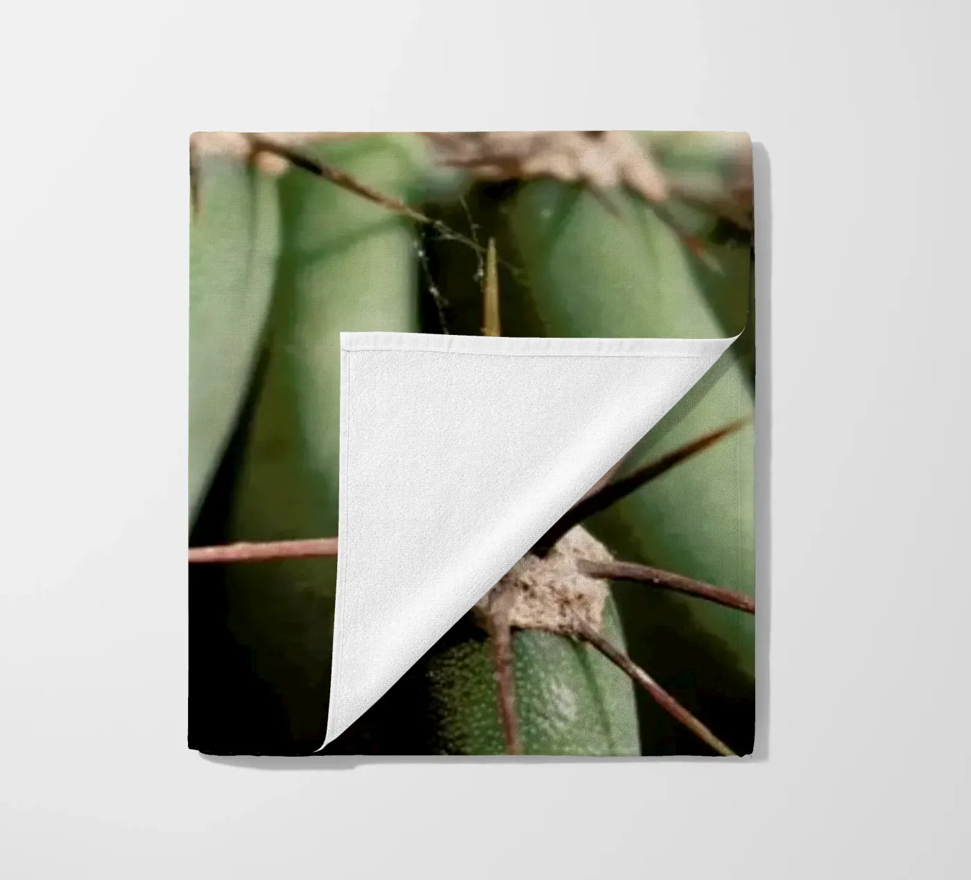 Cactus 02 telo mare da Marc Schulthess