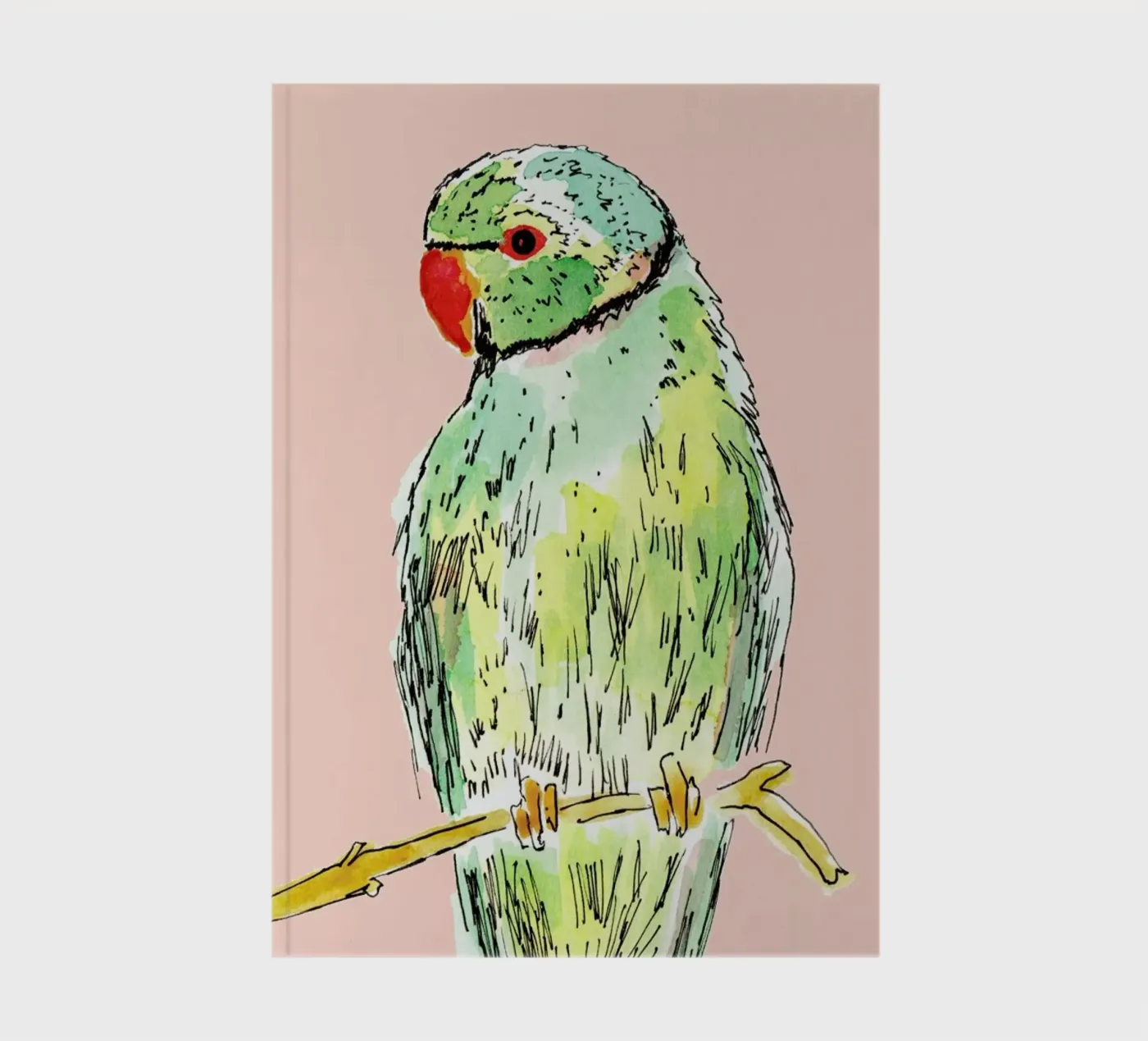 Parrot notebook by Farina Kuklinski