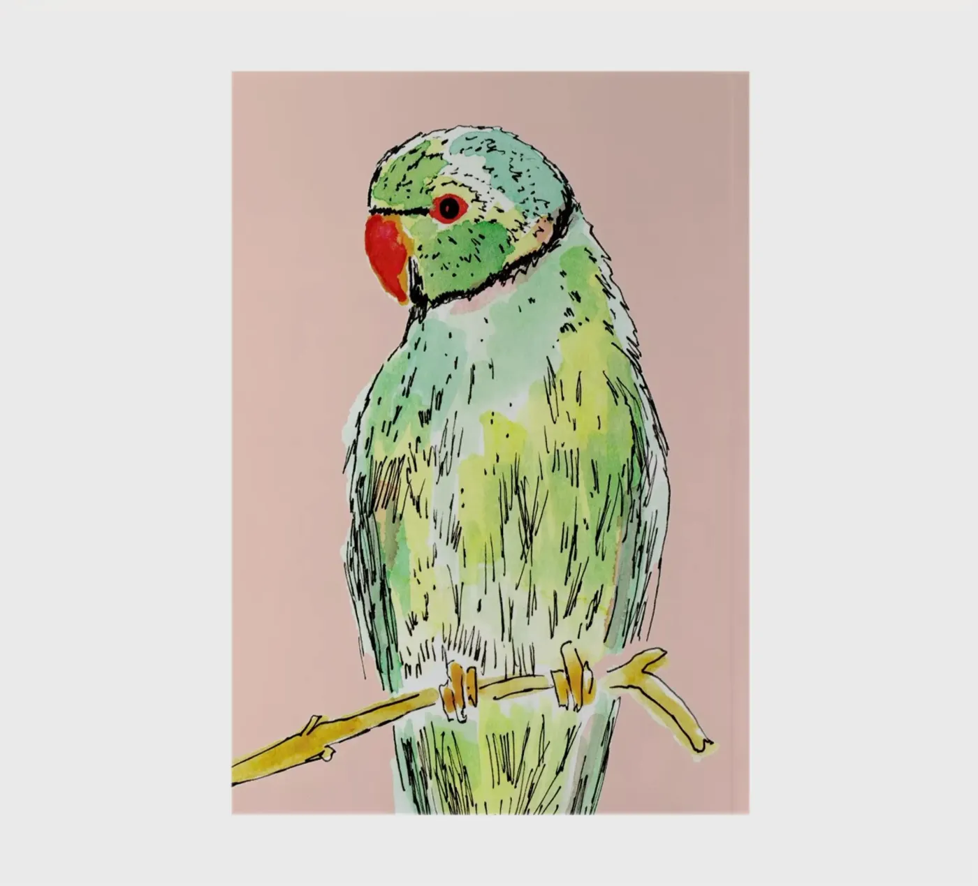 Parrot notebook by Farina Kuklinski