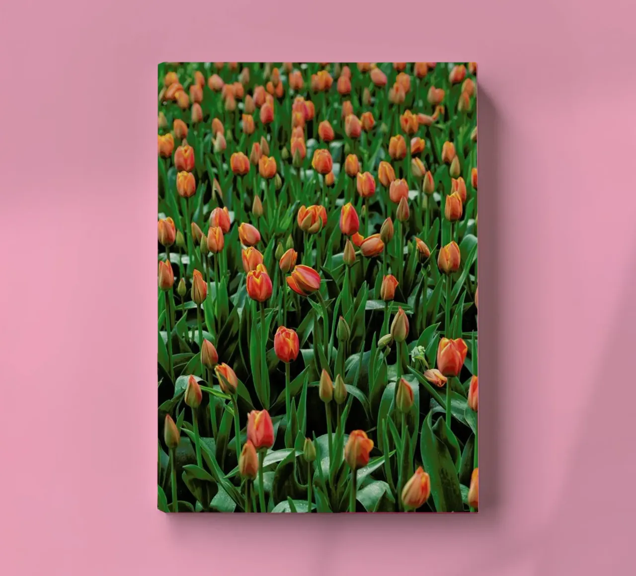 Tulip Field Orange notebook by Curious Collections by Marielle Leenders