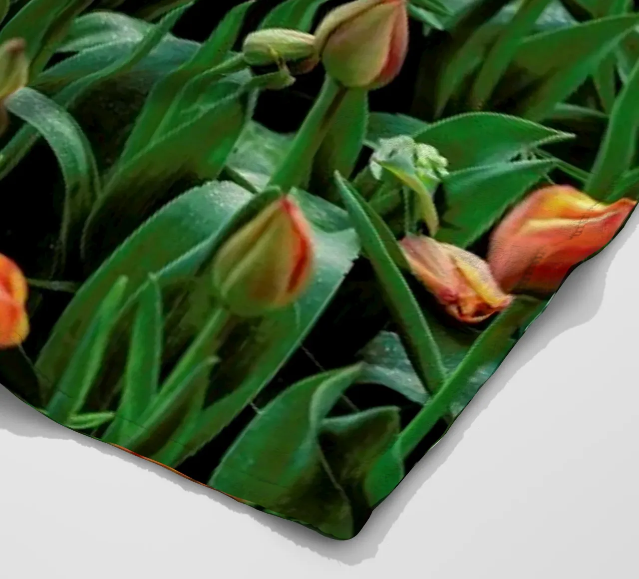 Tulip Field Orange coperta in pile da Curious Collections by Marielle Leenders