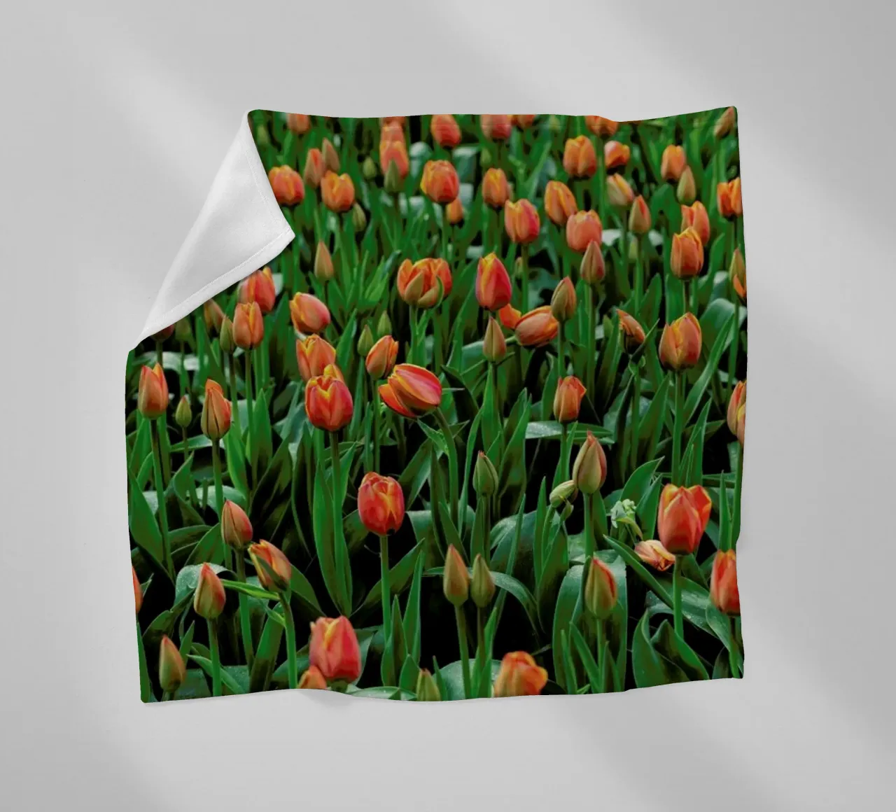 Tulip Field Orange coperta in pile da Curious Collections by Marielle Leenders