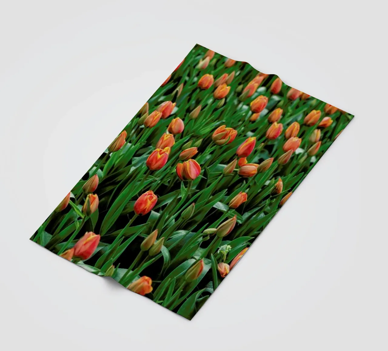 Tulip Field Orange coperta in pile da Curious Collections by Marielle Leenders
