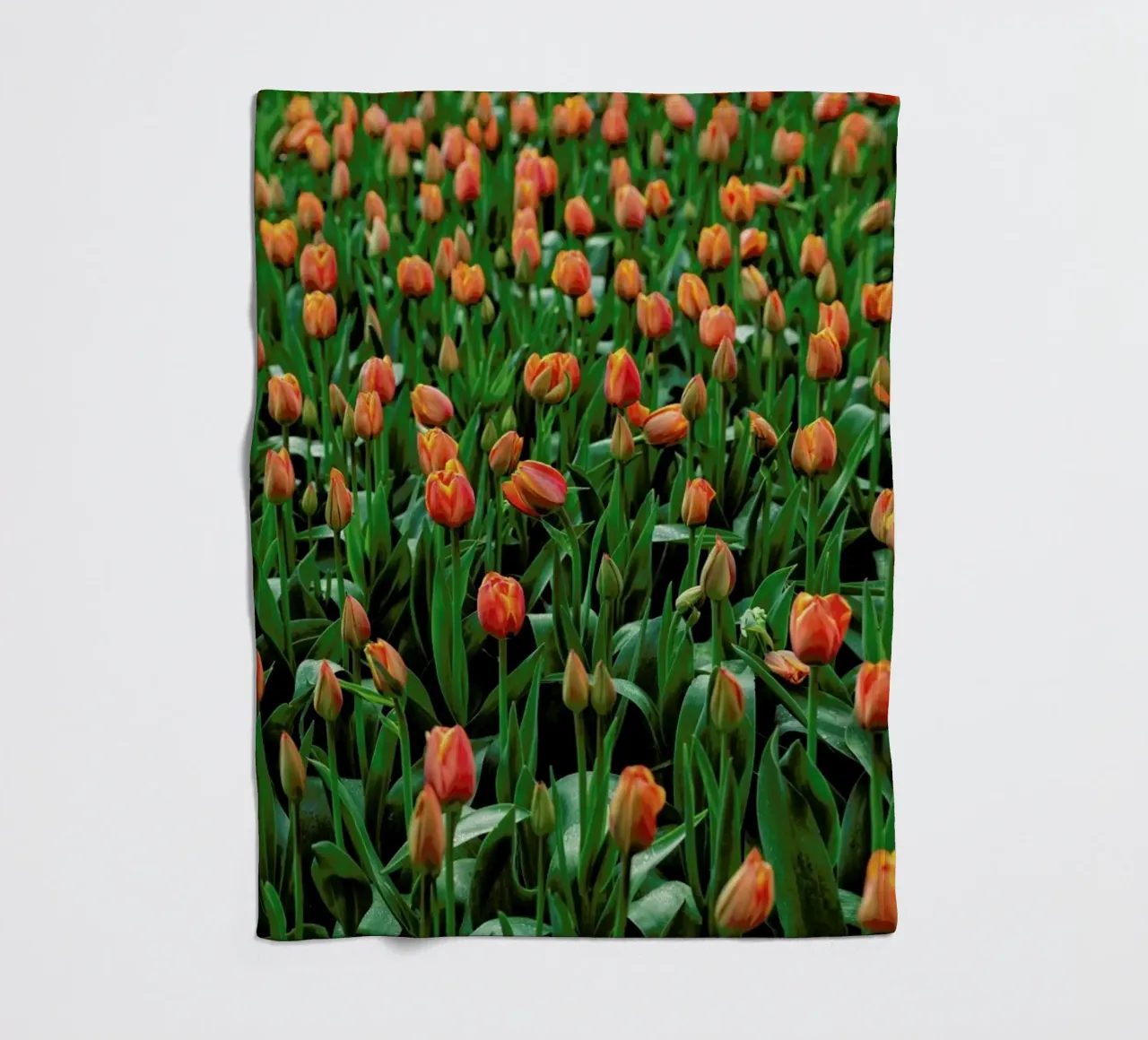 Tulip Field Orange coperta in pile da Curious Collections by Marielle Leenders