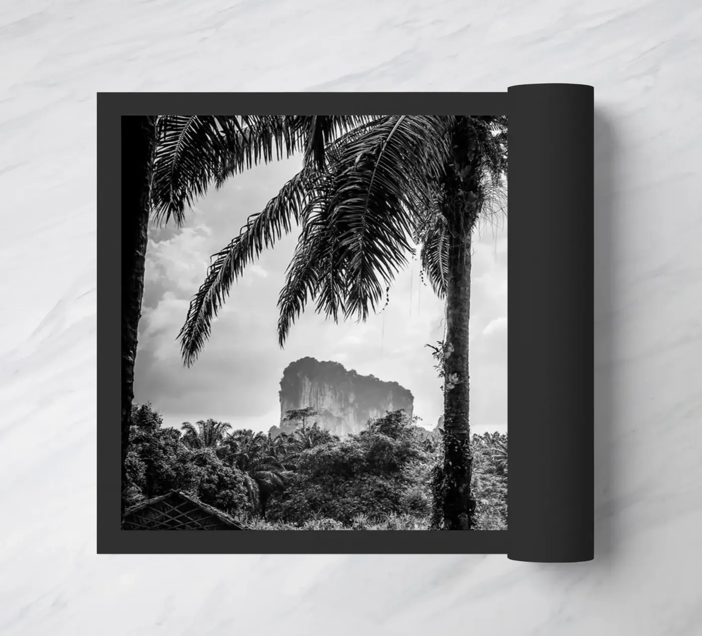 Krabi zerbino da G.W