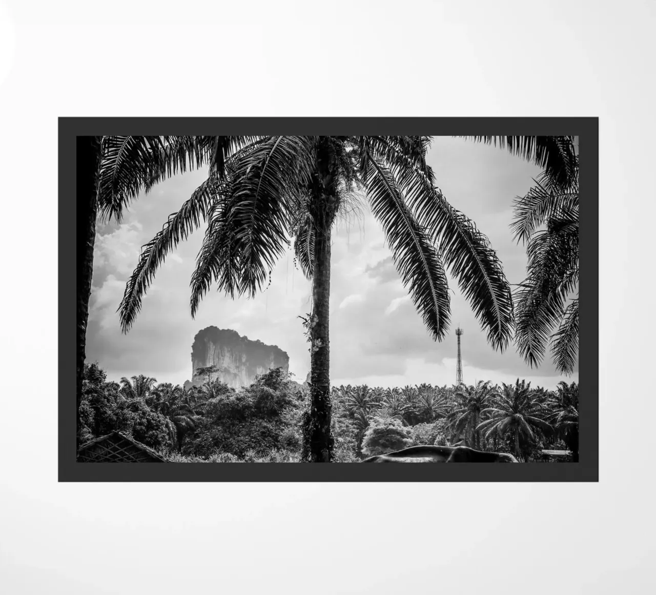 Krabi zerbino da G.W