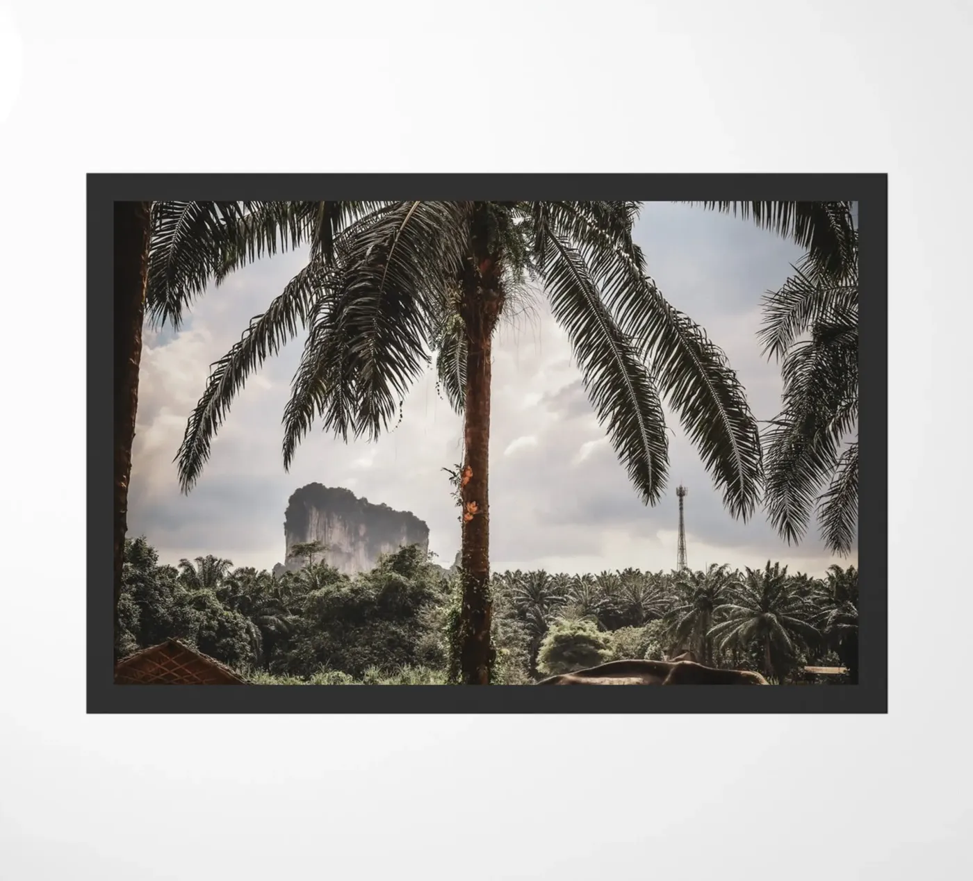 Krabi zerbino da G.W
