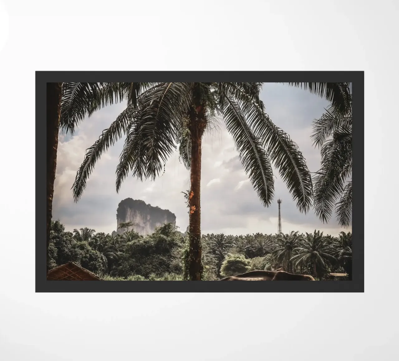 Krabi zerbino da G.W