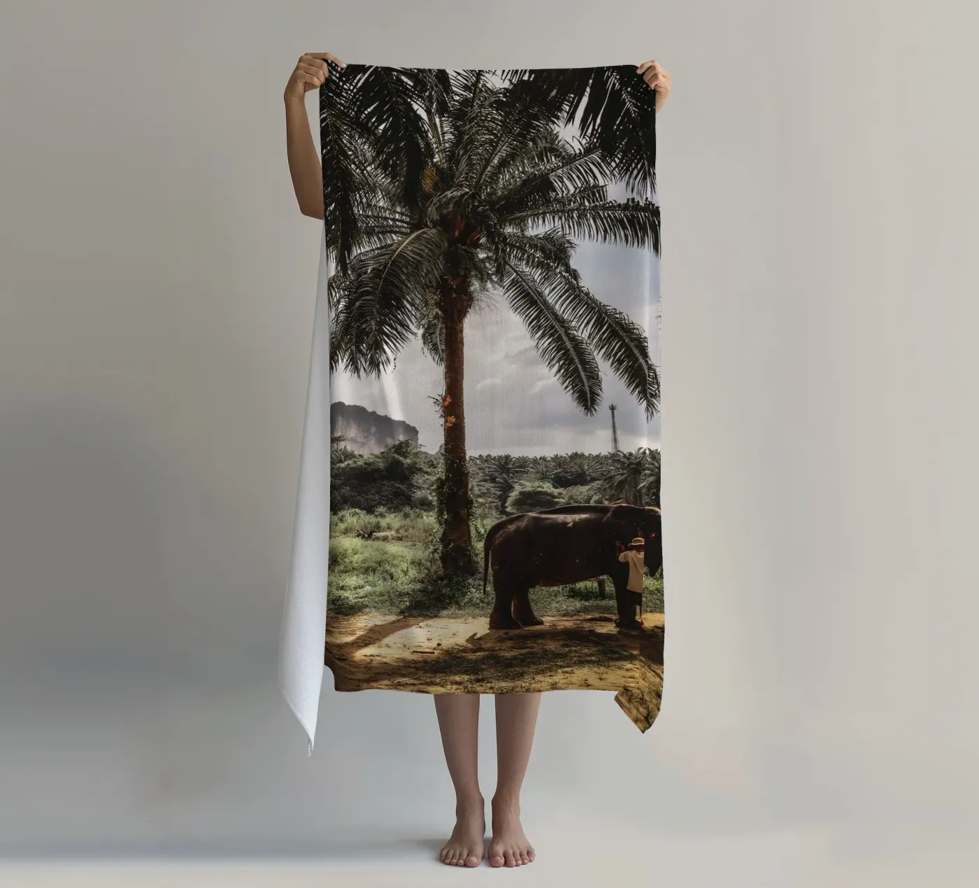 Krabi telo mare da G.W