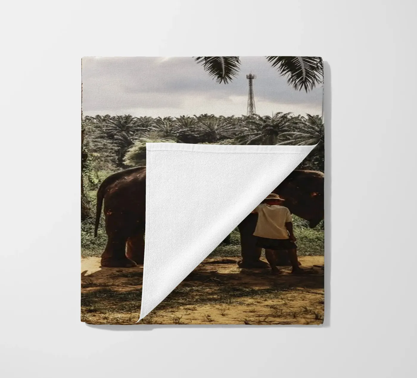 Krabi telo mare da G.W